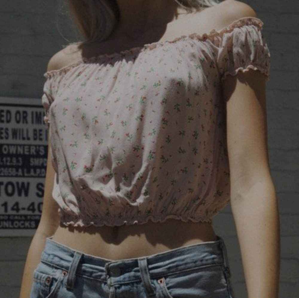 brandy melville pink floral crop top